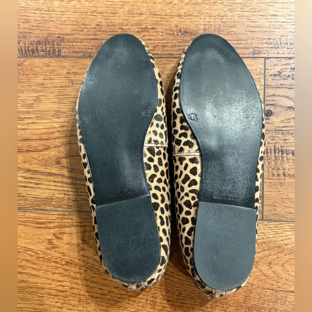 Leopard Print Ballet Flats with Teal Trim - Picture 7 of 10